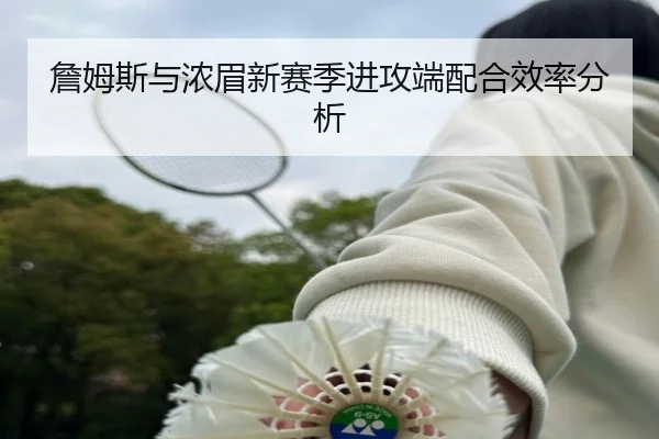 詹姆斯与浓眉新赛季进攻端配合效率分析